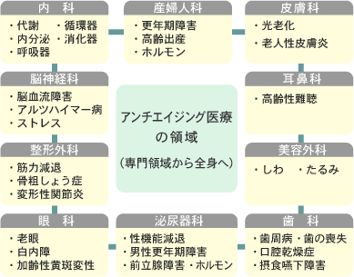 アンチエイジング医療の領域